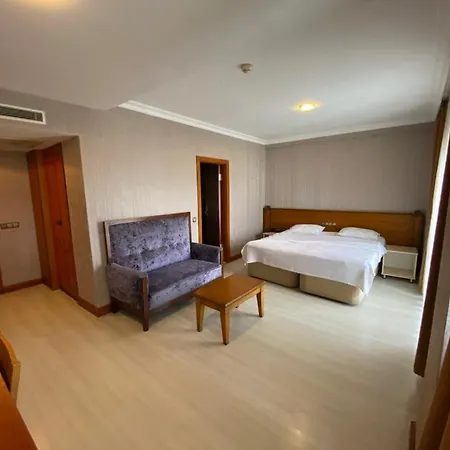 Hotel Mount