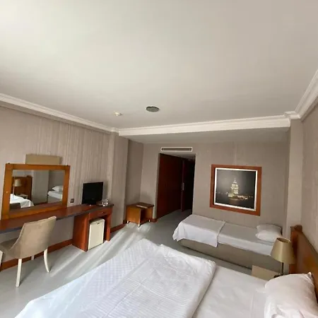 Hotel Mount