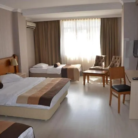 Hotel Mount